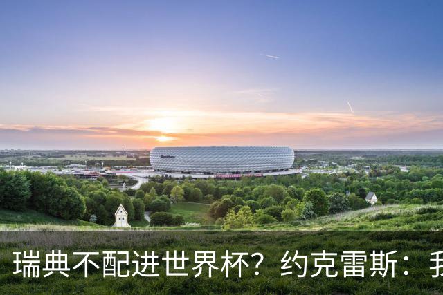 瑞典不配进世界杯？约克雷斯：我们凭实力进的，首战就5-1赢了
